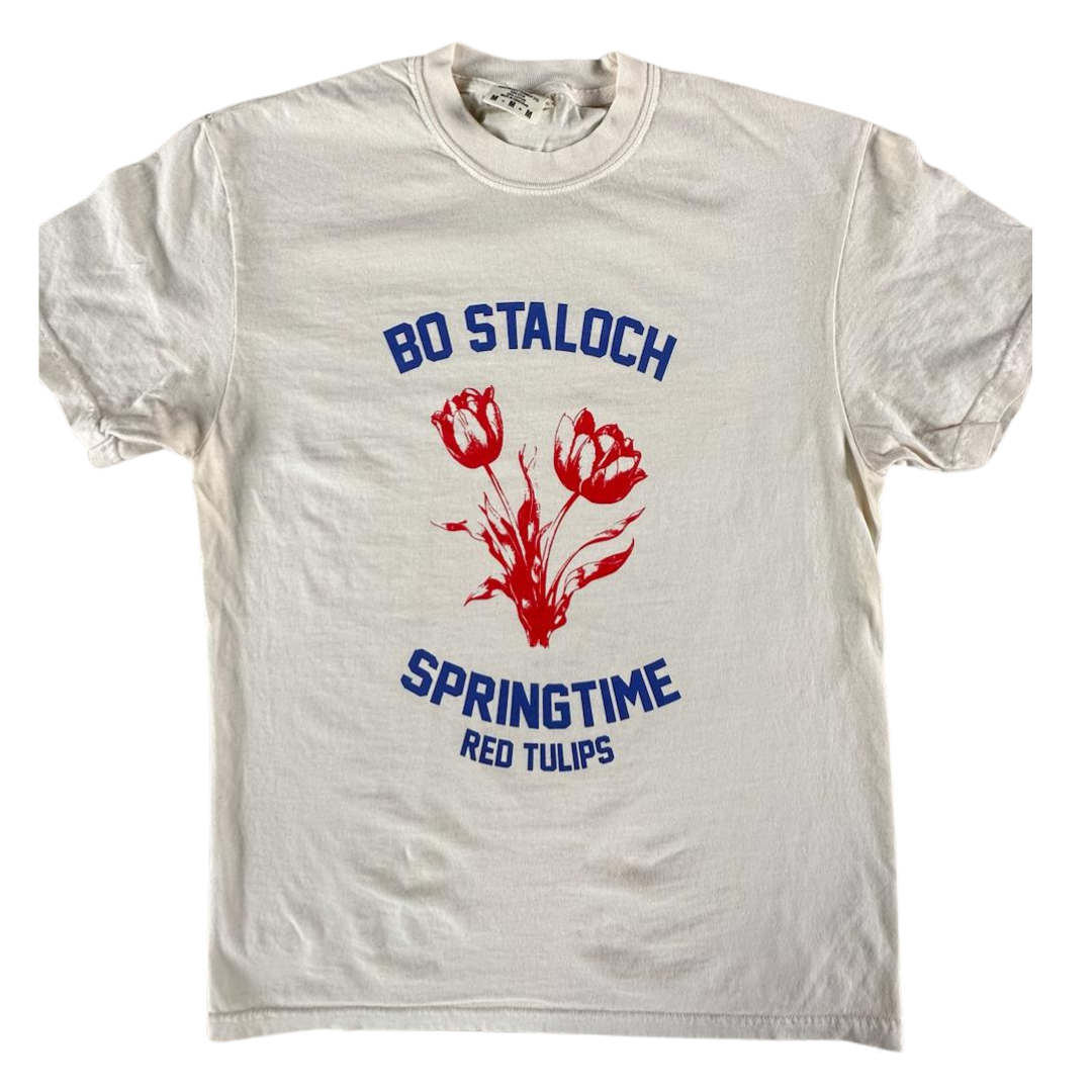 Springtime Red Tulips